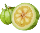 Garcinia Cambogia