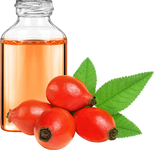 Rosehip Oil